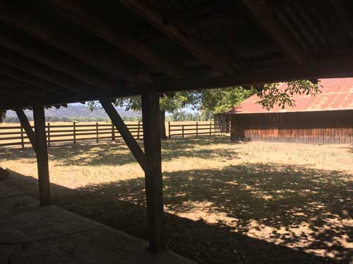 Barns and yard in between at Anderson Marsh