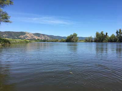 Kayaking in a secluded spot on Clear Lake